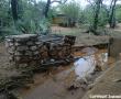  Farm near Weipe. Photo supplied: Natasja Fourie.