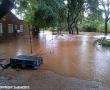 Musina. Photo supplied: Natasja Fourie.