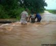  Farm Welgevonden in Levubu. Photo supplied.