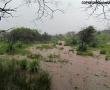  Farm on the Witvlag road. Photo supplied: Barry Fourie.