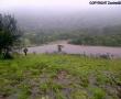 Farm on the Witvlag road. Photo supplied: Danelle Fourie.