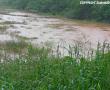 Wetland near Stubbs street in Makhado (Louis Trichardt). Photo supplied: Elsie Venter.