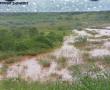 Wetland near Stubbs street in Makhado (Louis Trichardt). Photo supplied: Elsie Venter.