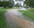 Park near Werdo Toyota in Makhado (Louis Trichardt). Photo supplied: Elsie Venter.