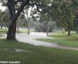  Park near Werdo Toyota in Makhado (Louis Trichardt). Photo supplied: Elsie Venter.