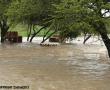 Kingfisher Accommodation near Makhado (Louis Trichardt). Photo supplied: Lenie Paquot. 