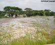  Kingklip Safaris. Photo supplied: Lenie Paquot. 