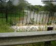  N1 South to Polokwane from Makhado (Louis Trichardt). Photo supplied: Lenie Paquot. 