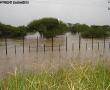  N1 South to Polokwane from Makhado (Louis Trichardt). Photo supplied: Lenie Paquot. 