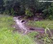  Near Makhado (Louis Trichardt). Photo supplied: Maré van der Merwe.