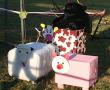 Foto: CANSA Relay for Life Louis Trichardt