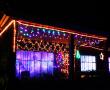 <p>Acacia street.</p>
